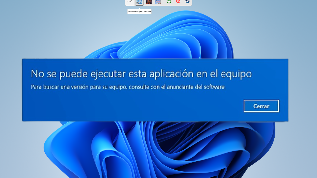 Windows 11 error aplicación