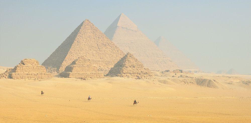 Camellos en un desierto con las pirámides de fondo