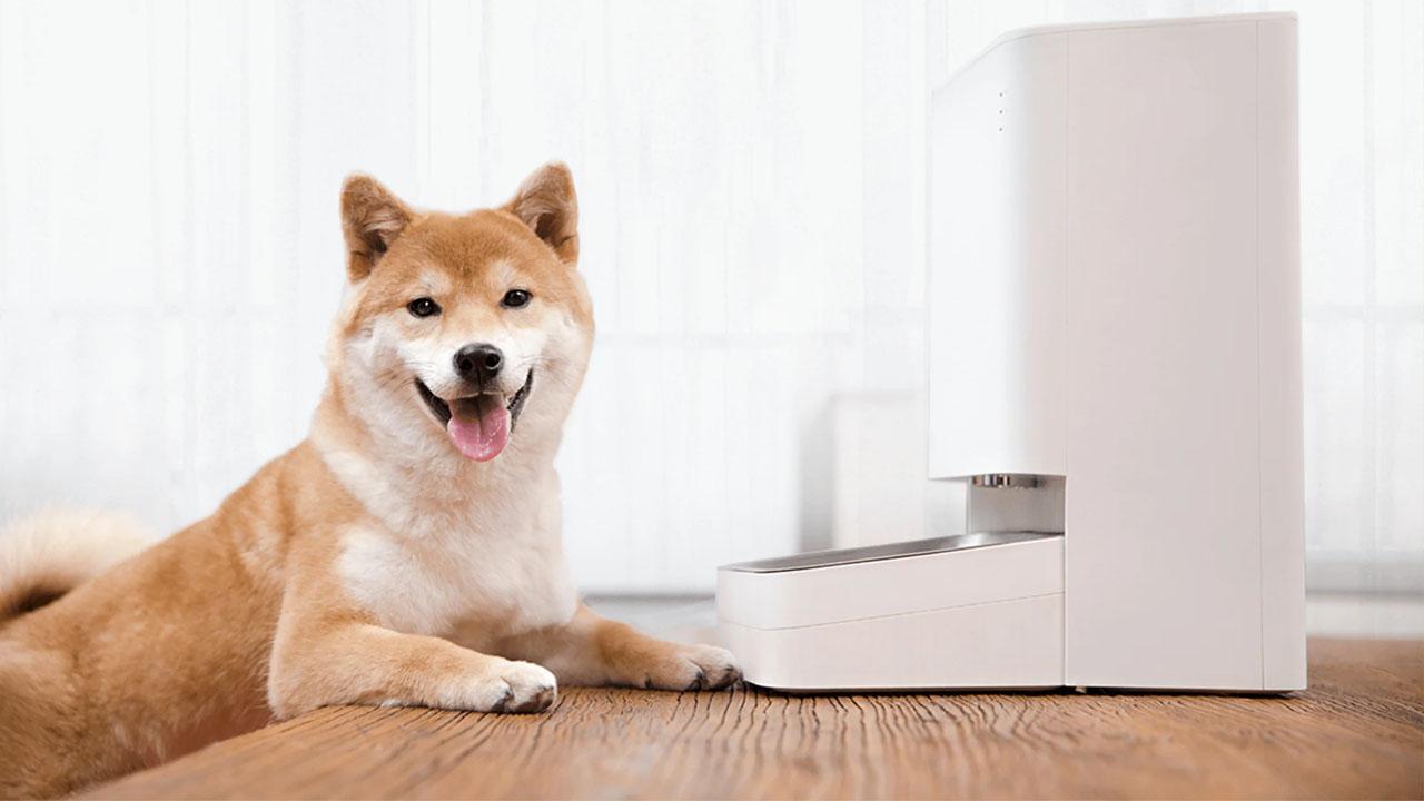 Alimentador de mascotas Xiaomi Smart Pet Food Feeder