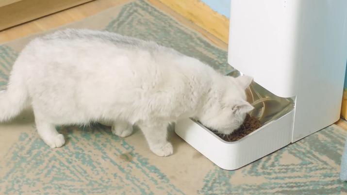 Gato comiendo del Xiaomi Smart Pet Fooder