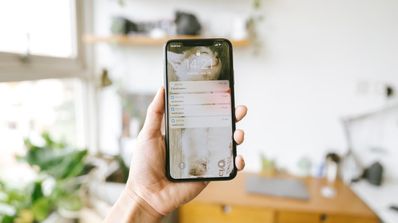 Mano sujetando un iPhone con notificaciones en la pantalla.