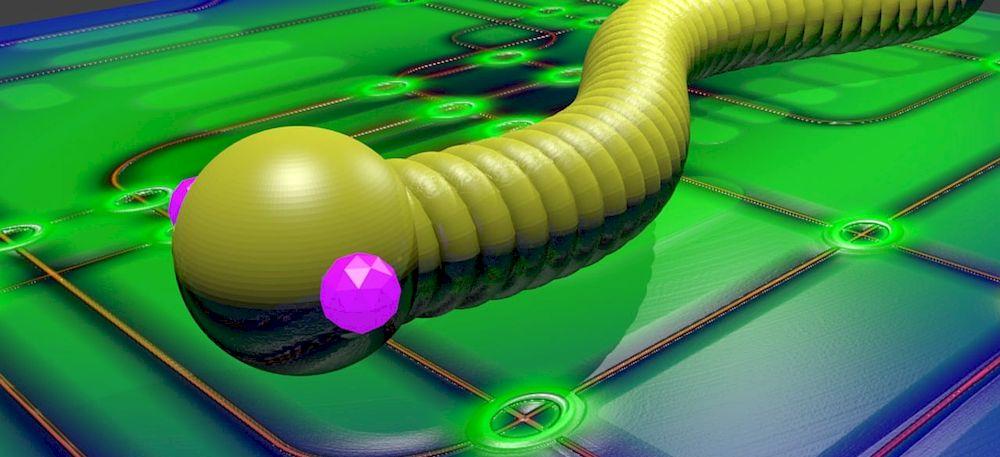 Un gusano se mueve infectando dispositivos informáticos
