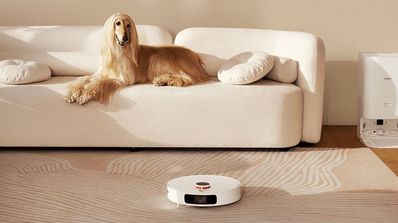 Usando el Xiaomi Robot Vacuum X10+ con el perro en el sofá