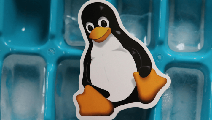 Un pingüino de Linux con una cubitera