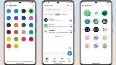 Imagen de cómo será WhatsApp Plus