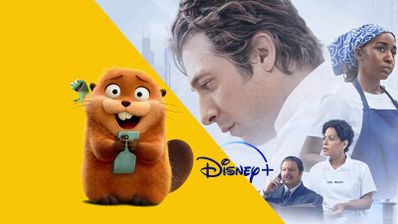 Composición de contenidos de Disney+ con un castor animado sobre fondo amarillo y personajes de la serie The Bear a la derecha.