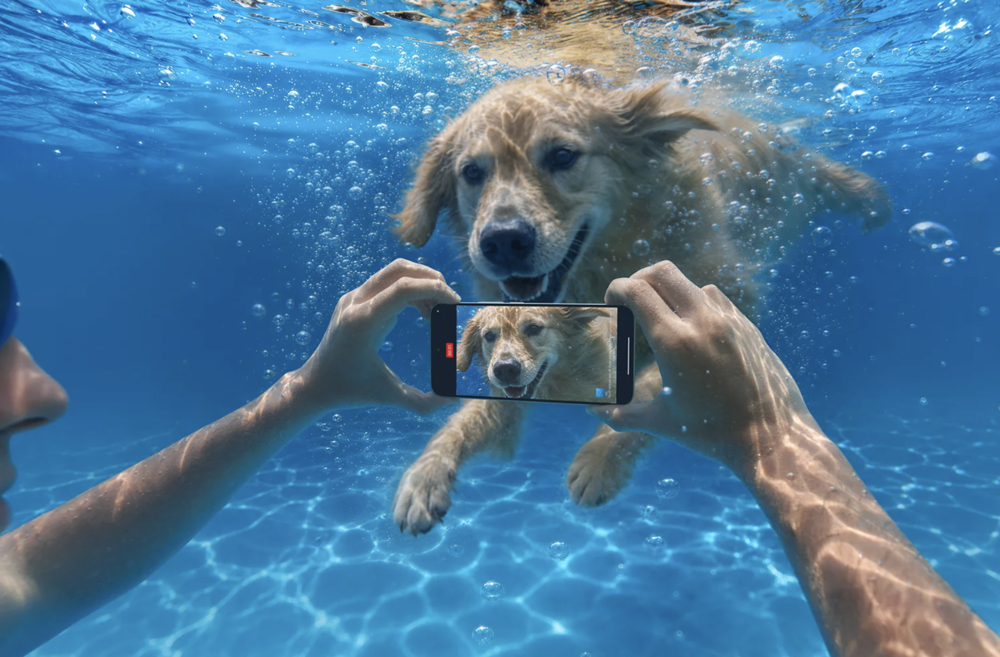 Grabación submarina con un teléfono móvil de un perro nadando en una piscina.
