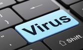 Tipos de virus activos en 2017 y lo que hacen a tu PC