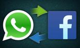 Multazo a WhatsApp y Facebook por usar tus datos sin permiso