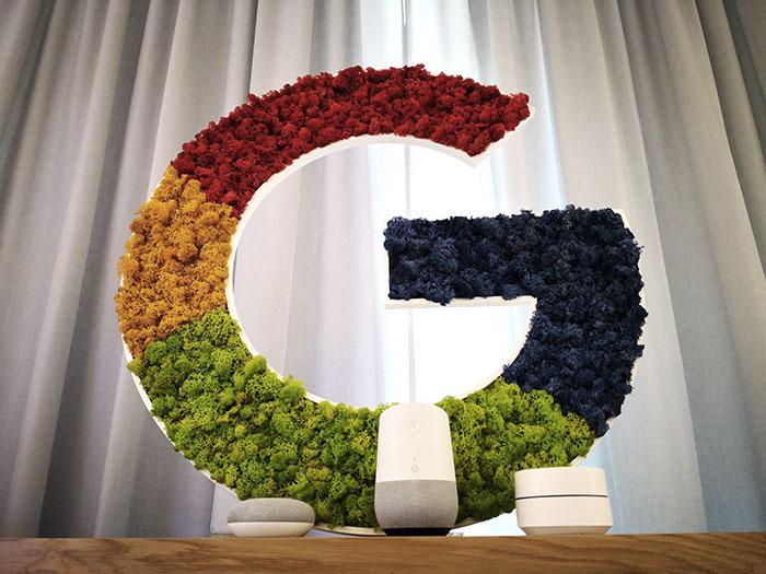 Google Home y Google WiFi con G de flores gigante de Google