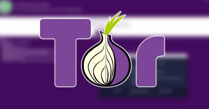 Tor browser https everywhere hydra какой нужен растворитель для конопли